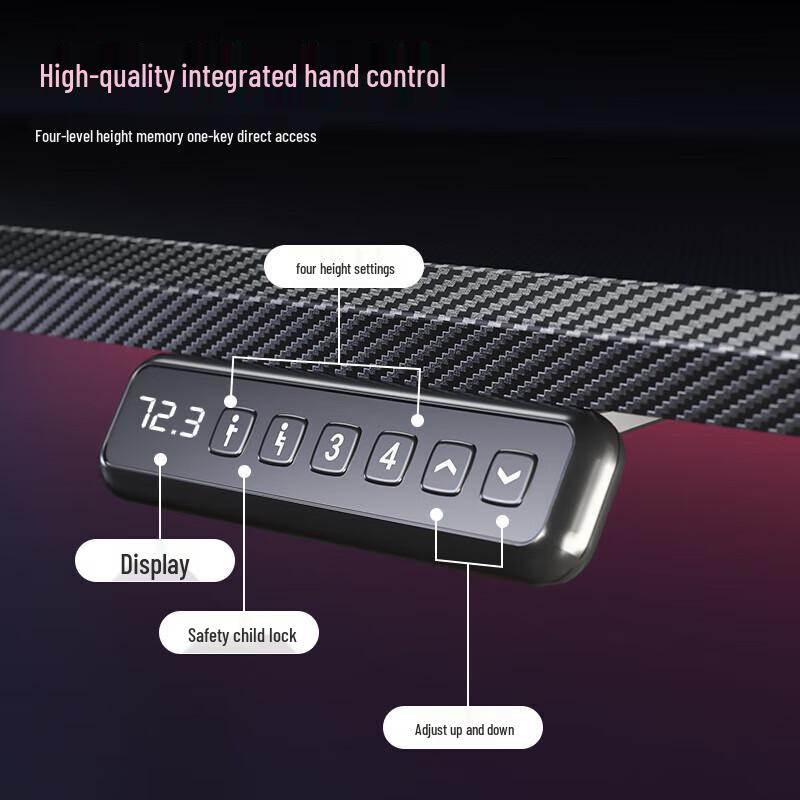 Loctek Black Warrior 1.6M Electric Standing Gaming Desk