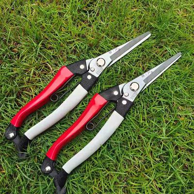 High-carbon Steel Pruner Fruit Tree Branch Cutting Tool Bonsai Plant Pruning Tool Straight Head Scissors for Garden