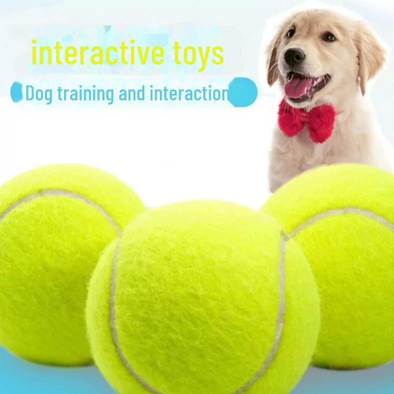 Bianmu Beißfester Hundespielzeugball für Training & Zahnpflege