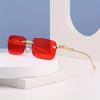 Leopard Patterned Decorative Frameless Square Stylish Glasses Suitable for Women Retro Leopard Head Metal Glasses for Men and Women