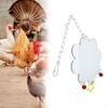 Oiseaux – Jouets pour oiseaux