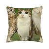 Funny Meowl Cat Owl Pillow Cover Retro Trendy Pillow Case For Living Room Bed Chair Comfy Pillowcases Birthday Gift