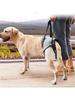 Dog Hip Support Brace for Hip Dysplasia, Adjustable Dog Hip Brace with Lift Strap | Pain Relief for Dog Arthritis and Joint Hurt