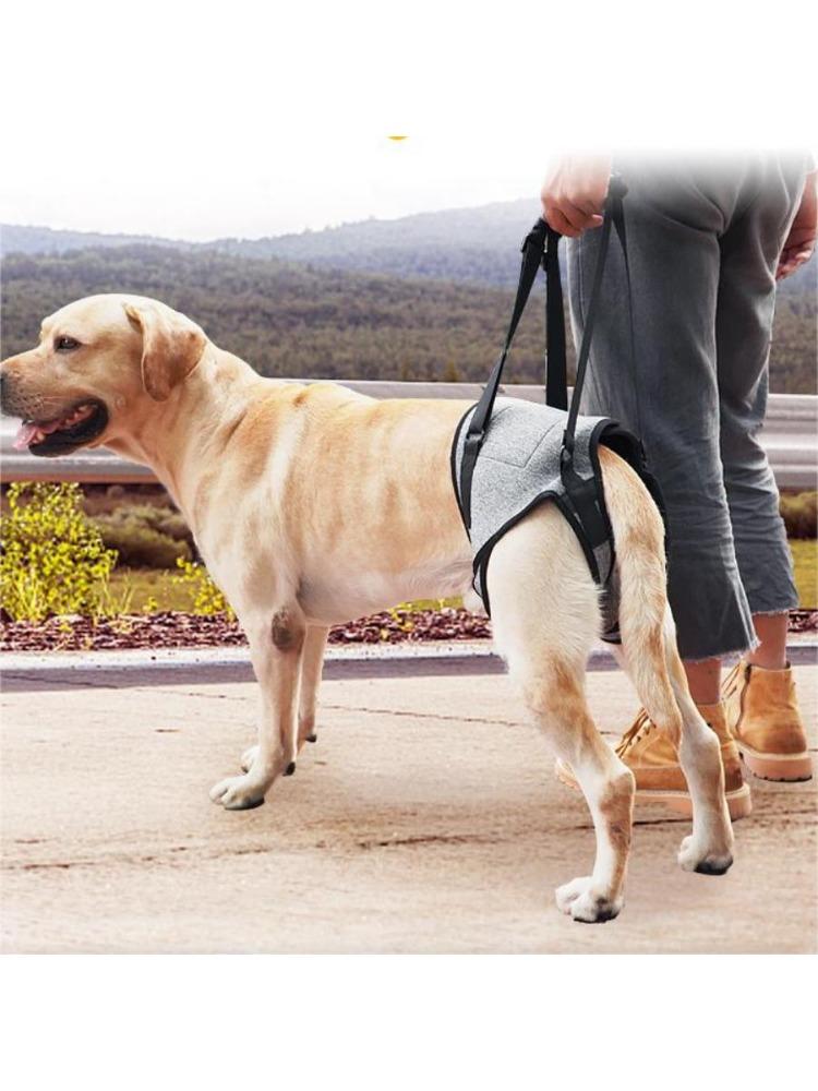 Dog Hip Support Brace for Hip Dysplasia, Adjustable Dog Hip Brace with Lift Strap | Pain Relief for Dog Arthritis and Joint Hurt