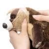 Calorata Japanese Badger Plush Toy (Realistic Animal BabySoft Touch) Realistic Badger Animal Baby Toy Doll Gift Present Birthday (Twice Tested) 
