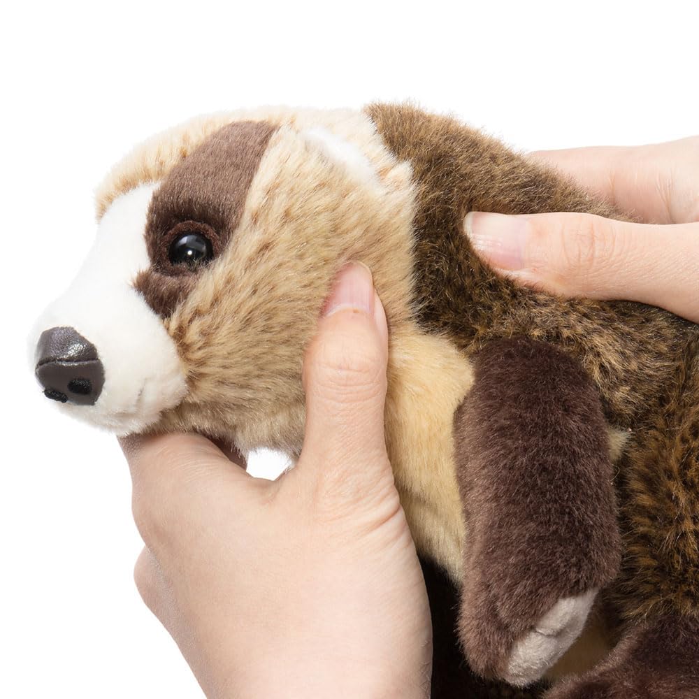 Calorata Japanese Badger Plush Toy (Realistic Animal BabySoft Touch) Realistic Badger Animal Baby Toy Doll Gift Present Birthday (Twice Tested)