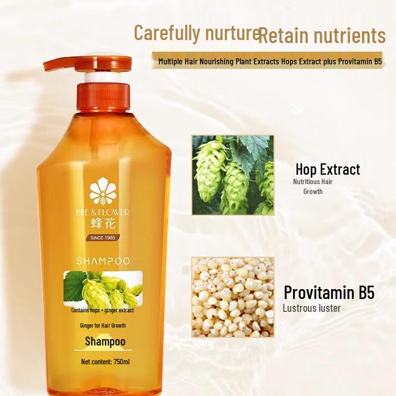 Fenghua Oil Control & Shine Shampoo