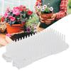 For Garden/ Bedroom/ Bathroom Flower Arrangers Inconspicuous Transparent /black Lightweight With Three Suction Cups