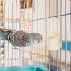 Automatic Hanging Bird Water Feeder Ultra Quiet No Drip Water Dispenser for Parakeet Cockatiel Lovebird Finch Parrot Cage