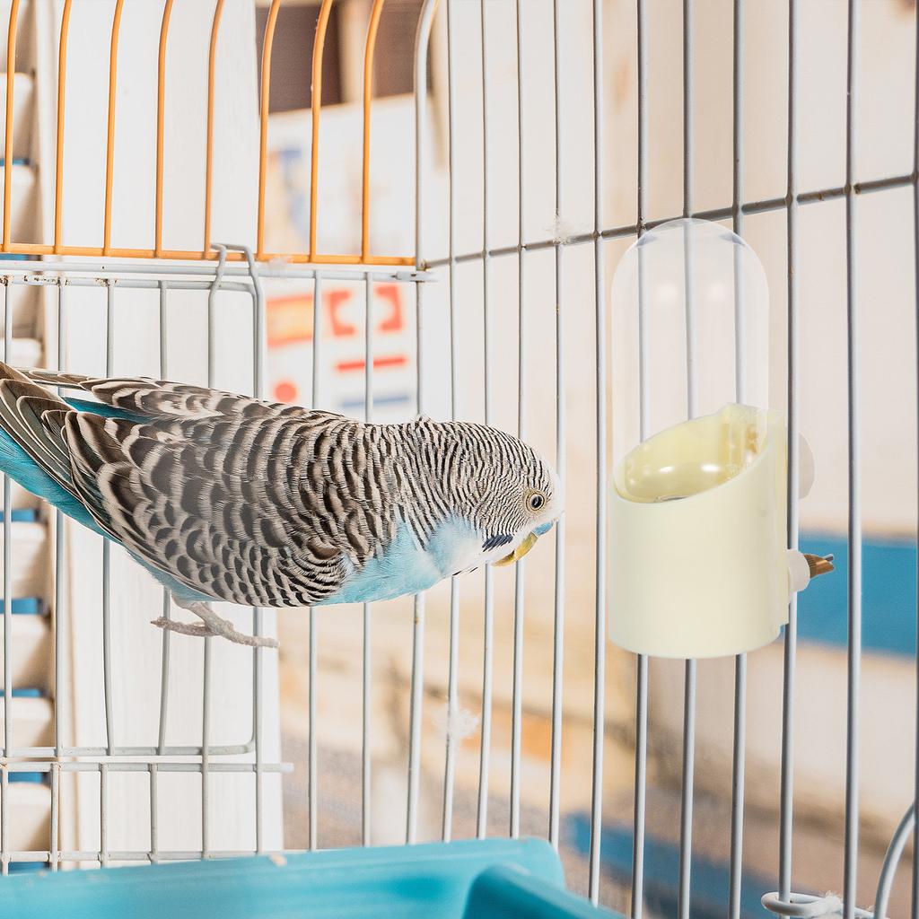 Automatic Hanging Bird Water Feeder Ultra Quiet No Drip Water Dispenser for Parakeet Cockatiel Lovebird Finch Parrot Cage