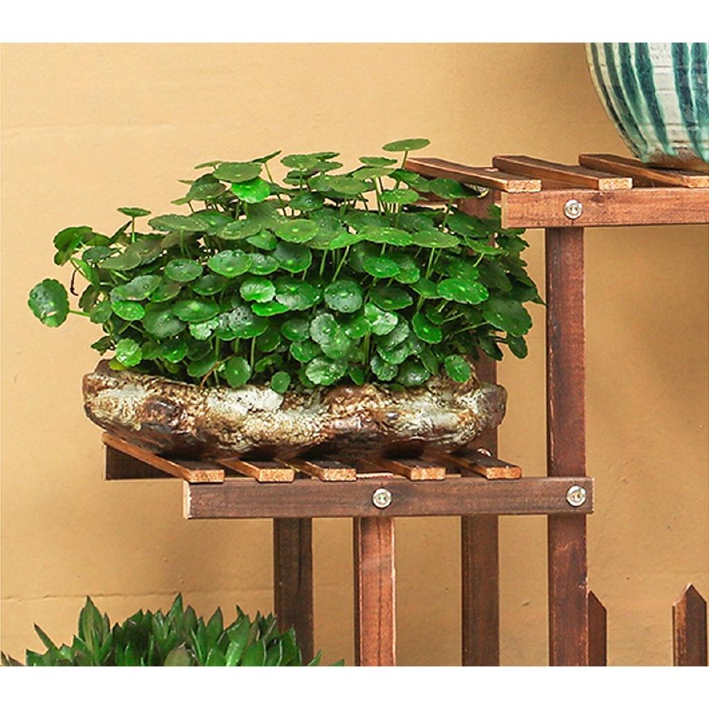 5patrový dřevěný stojan na květiny Stojan na rostliny Vícevrstvý stojan na květiny Police Bonsai Polička na vystavení Zahrada Dvůr Patio Balkon Stojany na květiny