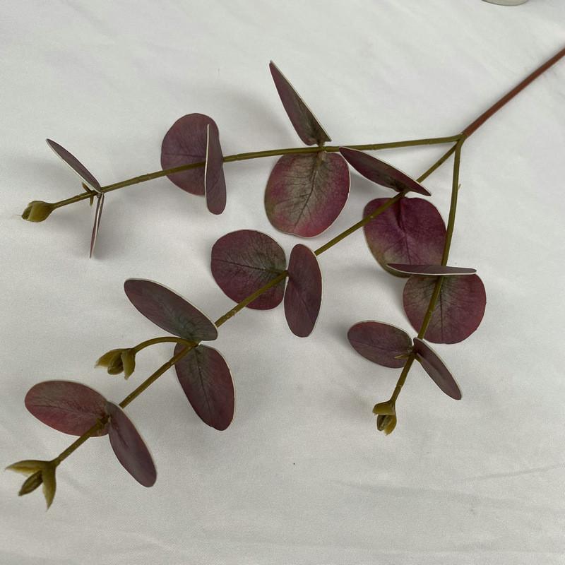 Peníze Eukalyptové Listy Stonky Pro Vnitřní Venkovní Svatba Dárek Dekorace