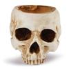 Revteds Skeleton Model Potted Trinket Bone Color Planter, Box, (Pod)