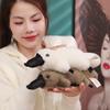 Big White Duck Plush Toy Cute Simulation Platypus Doll Doll Birthday Gift