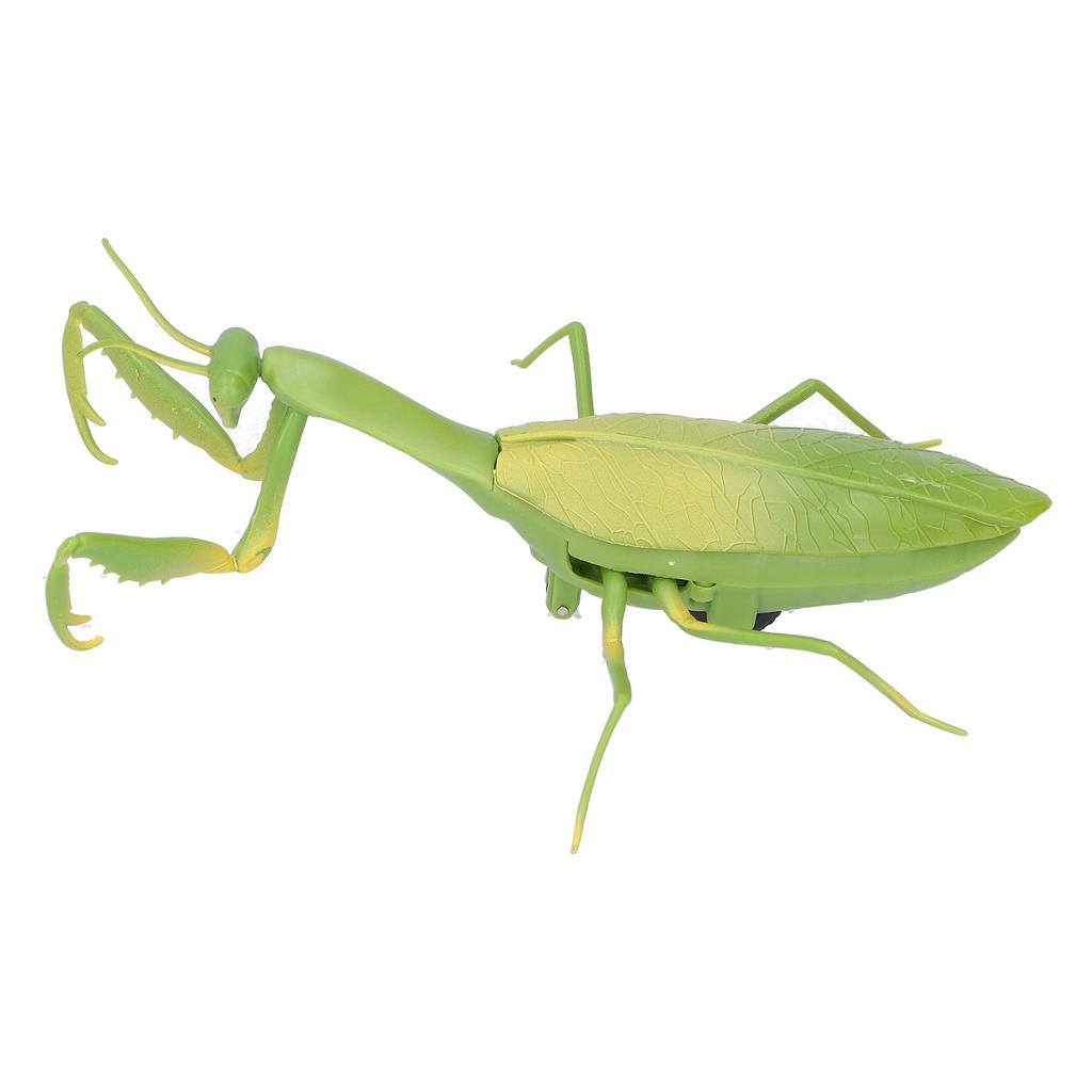 Dálkové ovládání hmyzu RC zvířat pro děti a dospělé Trikové hračky Elektrická zvířata na Halloween Kudlanka nábožná