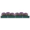 VidaXL Raised Garden Bed Galvanized Steel 600x80x45 Cm Green 47073