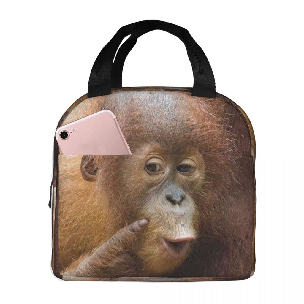 Gorilla Face Print Insulated Lunch Bag for Women Children Portable Food Boxes Thermal Lunch Box Tote
