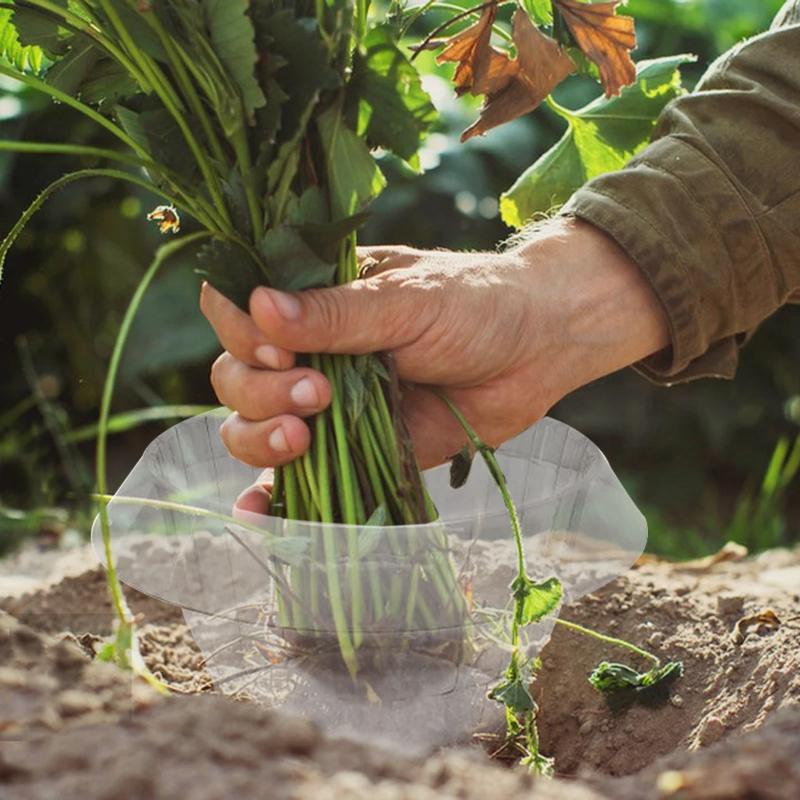 Plant Protection Cover Plastic Snail Collar Reusable Insects Frost Weather Plant Protection Insect Seedling Covers Garden Tools