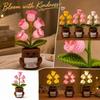 LED svítidla – LED noční lampičky