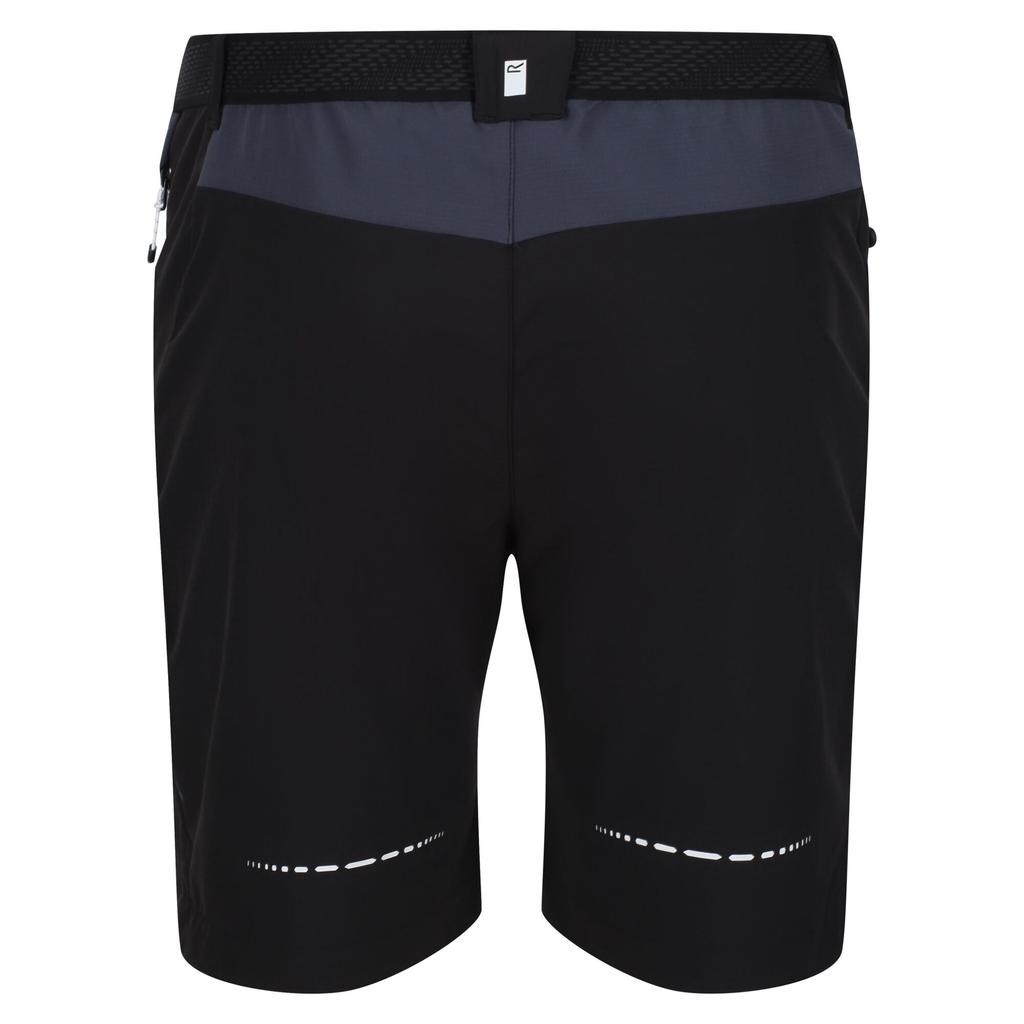 Regatta Mens Mountain II Shorts