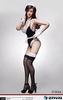 Figure ZY5024 Sexy Maid Clothes Set and head not [TOYBARJAPAN] 1/6 Accessories/ZYTOYS (Body included)
