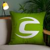 Brand C-C-Cannondaless Pillow Case Sofa Short Plush Double-Sided Hd Printing Room Home Office Gift Cushion Cover