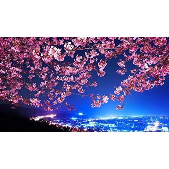 1000 pieces cherry blossom landscape jigsaw puzzle large game