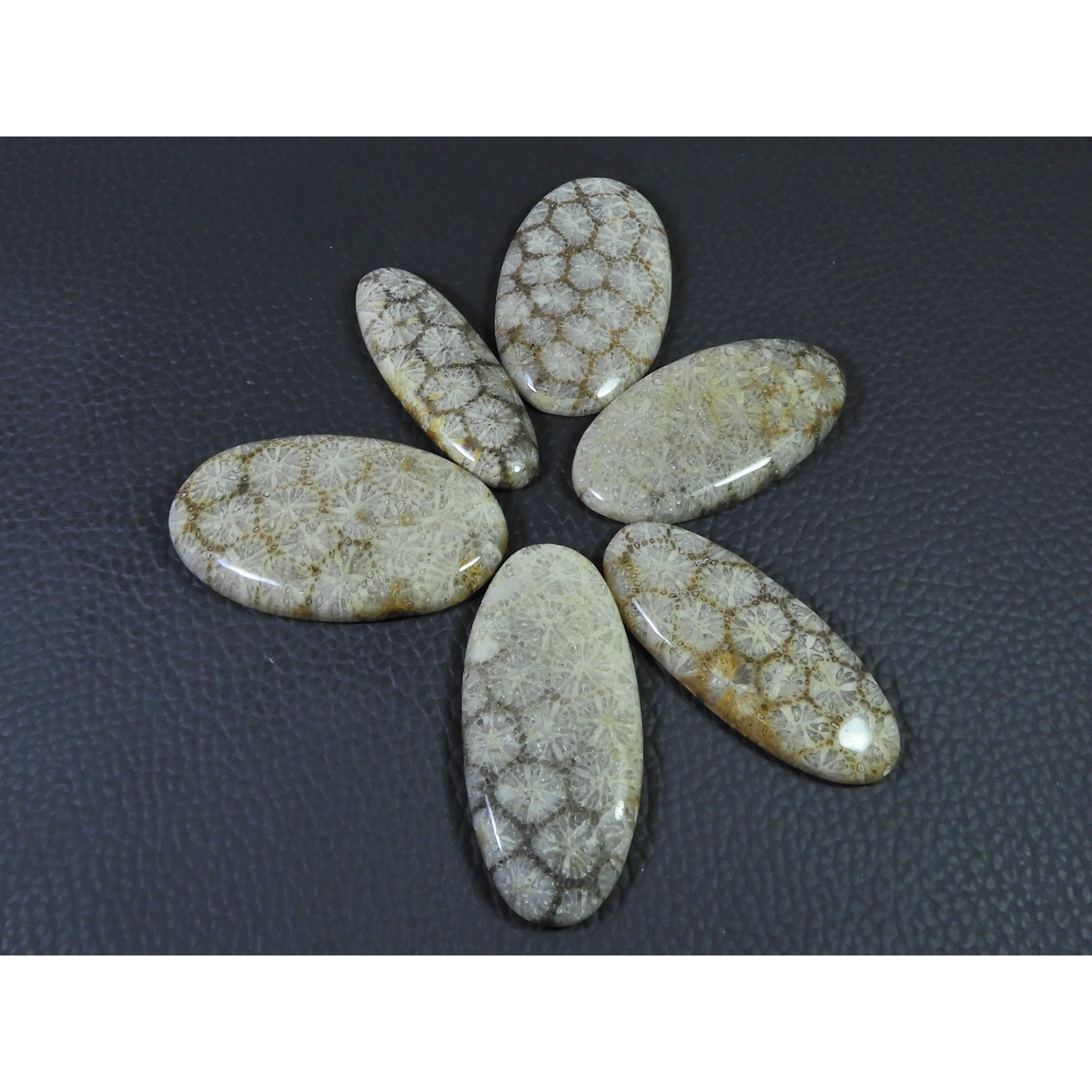 236Cts. Natural Fossil Coral Oval Cabochon Loose Gemstone 6Pcs Lot C-1895