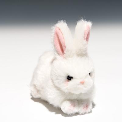 Takenoko Puchi Puchi Land Ein Plüschtier Weißes Kaninchen 58432