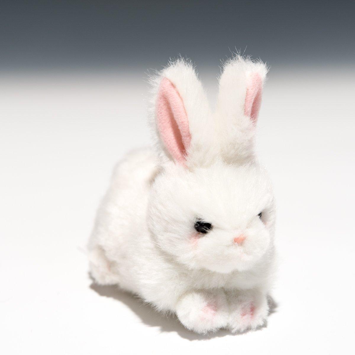 

Takenoko Puchi Puchi Land A White Rabbit Plush Toy 58432