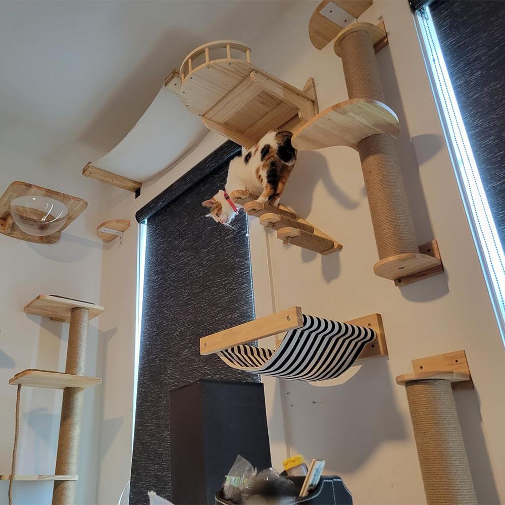 Innenwandhalterung Katzenbaum Kletterleiter Hängematte Sisal Kratzbaum Katzenmöbel Katzen-Sitzstange Trittbrett Rastplatz Haus für Kätzchen Katze