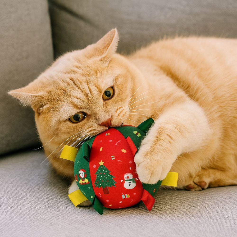 Bite-Resistant Dog Squeaky Ball Santa Claus Christmas Pet Toy Ball  Teeth Grinding