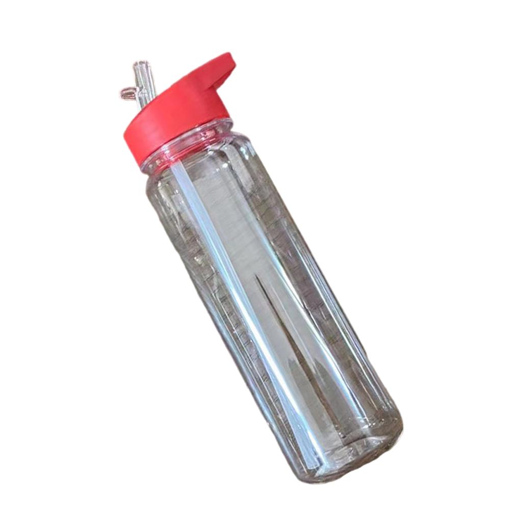 700ml Large Capacity Sports Drink Bottles Clear Plastic Sports Bottles Portable Water Cup with Handle and Straw