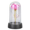 Rosa Colorata Luminosa in Cupola di Vetro Regali di Compleanno Illuminazione d'Ambiente Fiore Artificiale Luminoso Rosa per Anniversario Natale