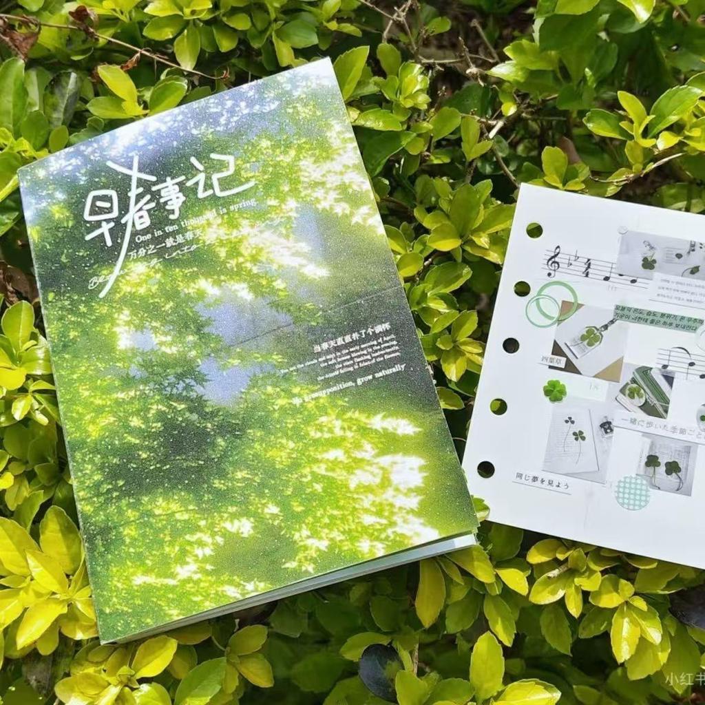Early Spring Chronicle Abstract Japanese Sticker Book for Student Planners