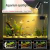 Pești și animale marine – Iluminare acvariu