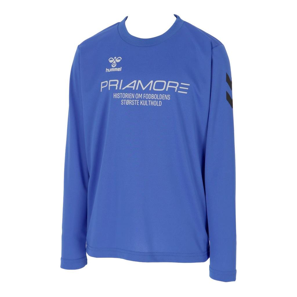 Hummel Priamore Long Sleeve Practice Set for Fresh Blue Kids, (634)