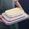 Morona Rectangular Plastic Serving Tray