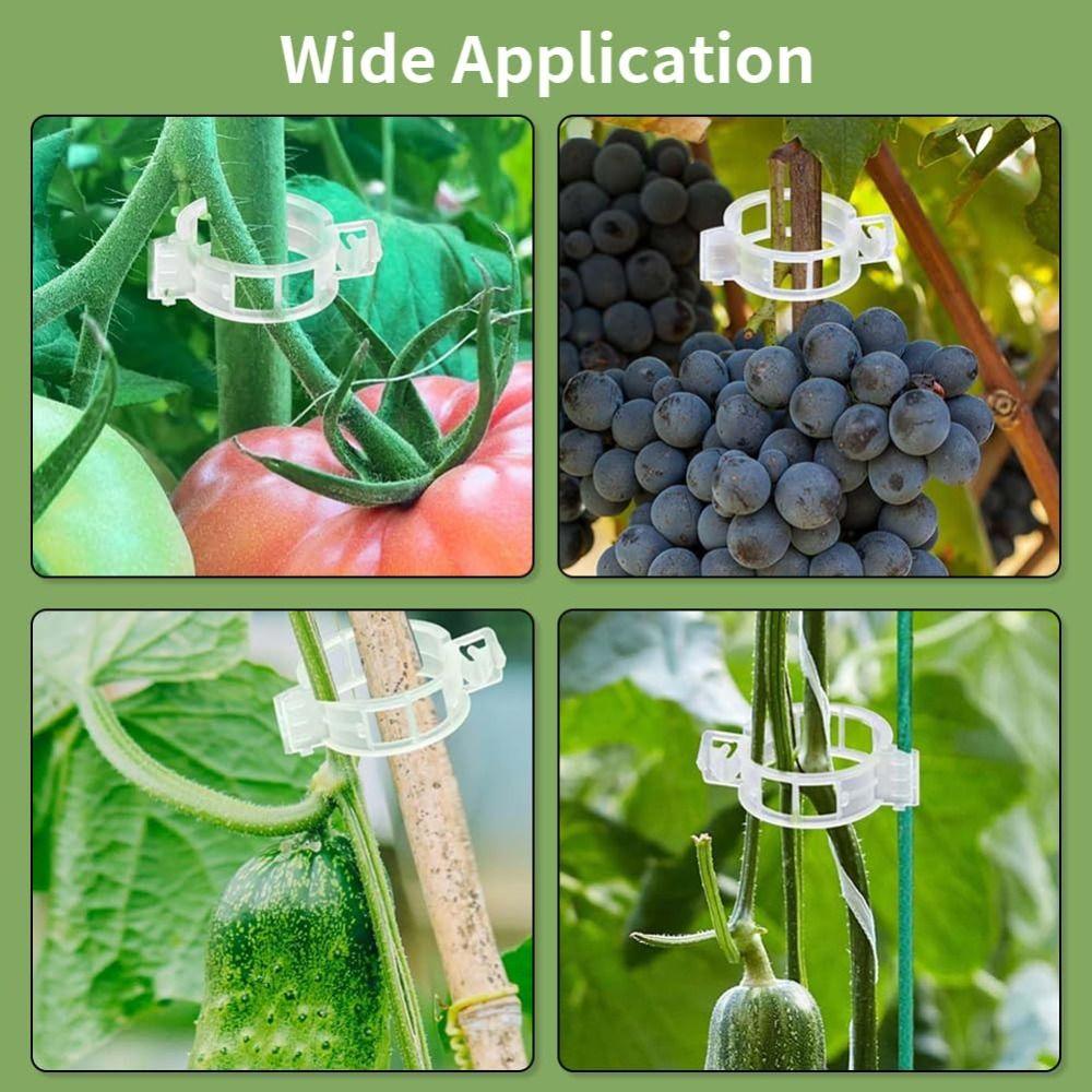 100 PCS Reusable Plant Support Clips Snap-Lock Design Trellis Clips Plant Clips  Tomato Plant