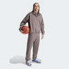 adidas The 2024 Collection Chapter 02 Logo Half-Zip Stand Collar Sweatshirt Unisex Tops Charcoal-Grey IW1627