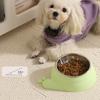 Stainless Steel Pet Cat Feeder Bowl Anti-spill Snail Shap Food Water Bowls Anti-leakage Non-slip Food Storage Container