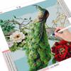 50x50cm Diamond Painting Full Animal 5D DIY Diamond Embroidery Sale Peacock Pictures Of Rhinestones Decor For Home