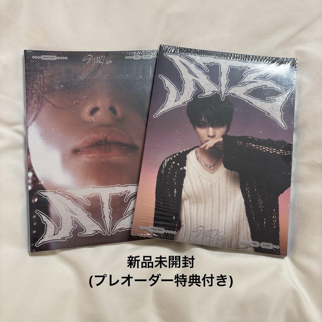 

[USED] Hyunjin Seungmin ATE Album