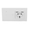 WiFi Smart Switch with Dual USB Concealed Wall Socket APP Voice Touch Control  Standard AC100‑