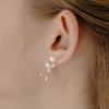 HAS HLD030 Ribbon Hoop Earrings