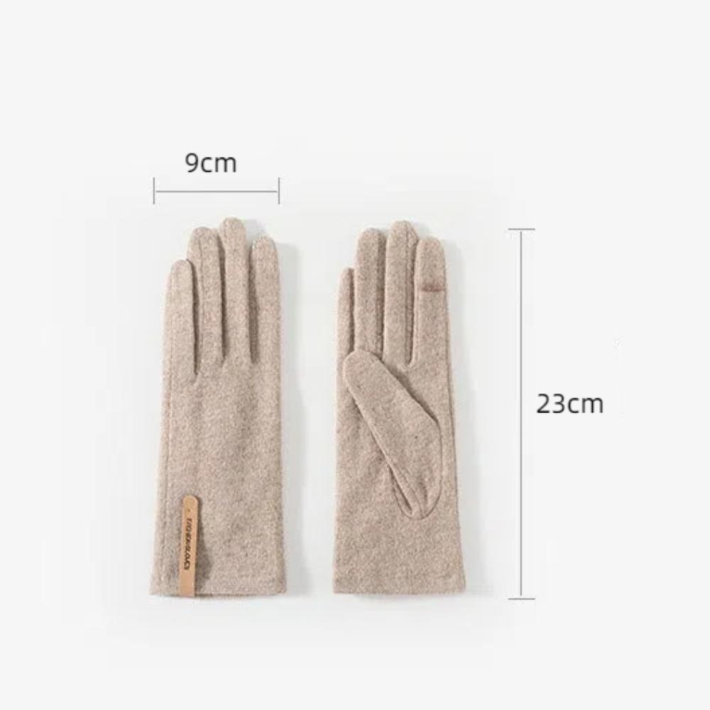 Keep Warm Winter Gloves Windproof Women's Gloves Fashion Cashmere Gloves  Drive