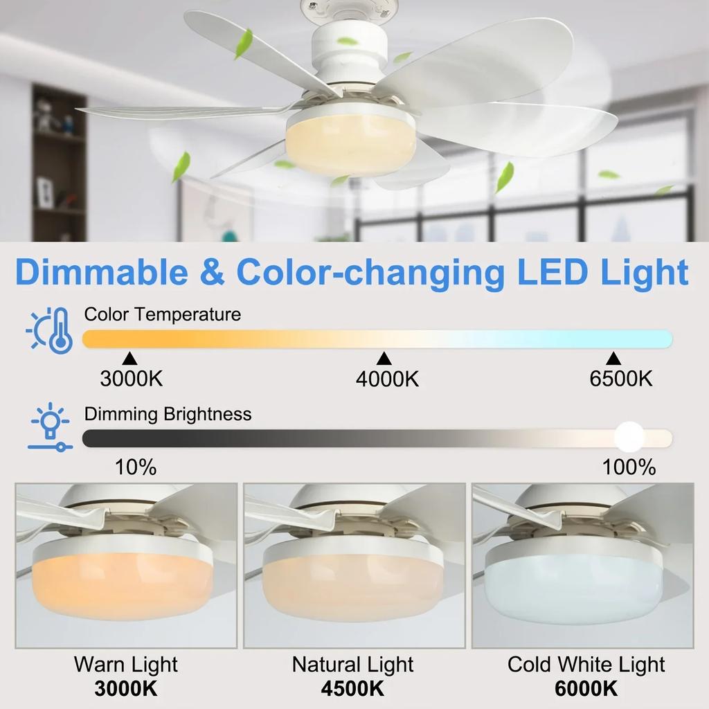 Socket Fan Light with Remote, 20.5in Small Ceiling Fan with LED, E26/27 Cordless Light Screw Fan for Kitchen Bedroom, Small Room