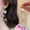 Silver Needle Zircon Hollow Lotus Fringed Earrings High-End Cold Wind Stud Earrings Niche Design Earrings