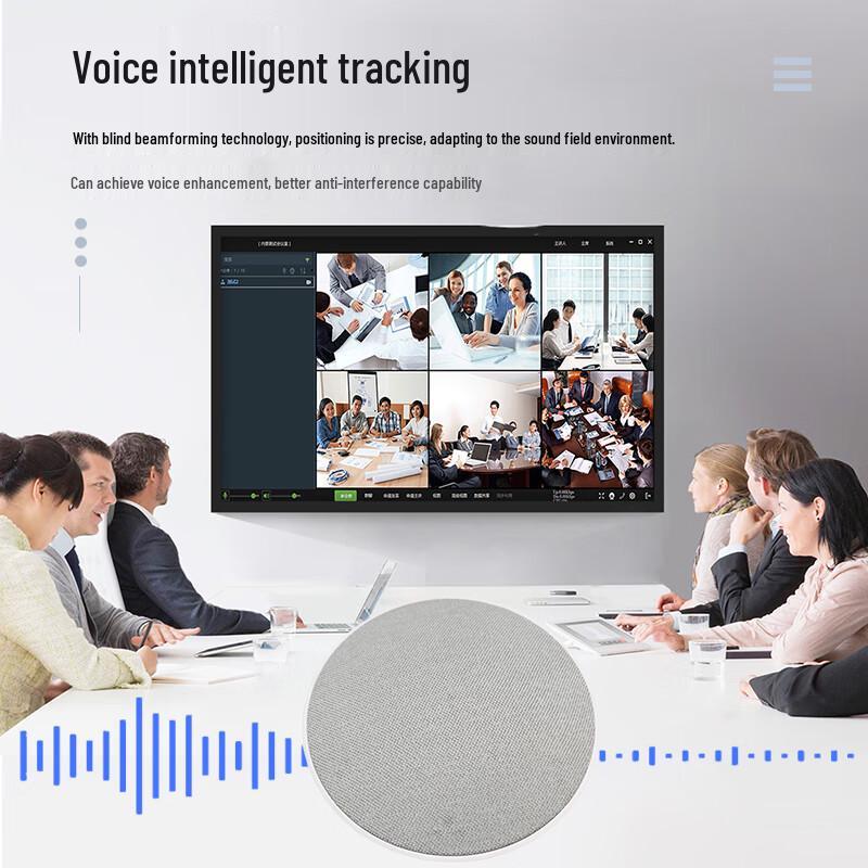 Suspended Array Omnidirectional Microphone (CN version)