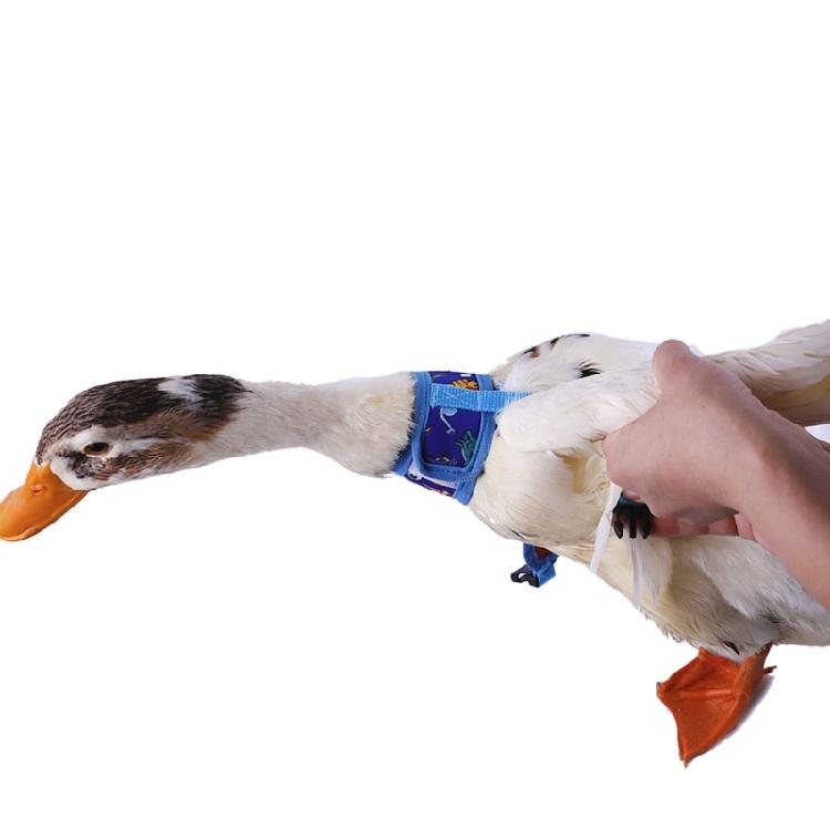 Rabbit Harness and Leash Small Animal Clothes for Rabbit Duck Small Animal